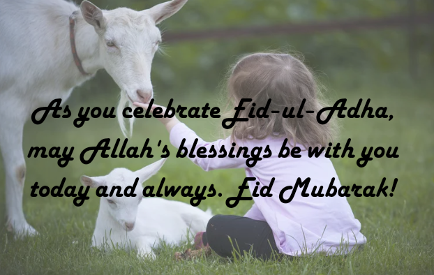 Eid UL adha wishes in english